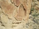 PICTURES/Crow Canyon Petroglyphs - Main Panel/t_Elaborate Design1.jpg